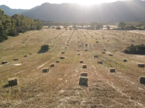 Agriturismo Il Nuraghe