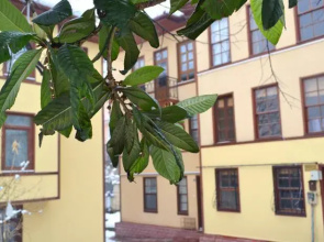 Bursa Guest House