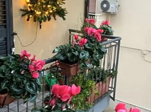 B&B San Pietro Book sharing