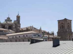 Apartamentos Catedral Plaza