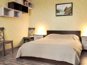 Apartamenty na Engelsa 147