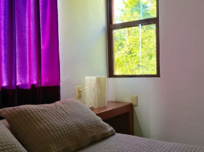 El Jardin De Frida