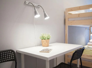 Лебедушка на Достоевского