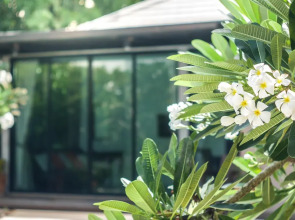 Villa Navin Premier Pool Villa