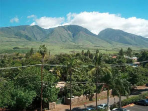 Lahaina Shores #522 - Studio Condo