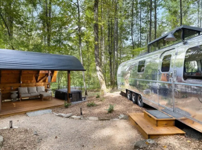 Royal Fern in Pisgah Forest