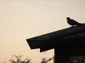 Kongkarn Bed & Farm Stay