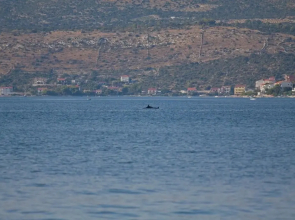 Vik - 60 m From the sea - A4