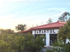 Jeju Badabyul Guest and Dive