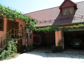 Casa de vacanta Vidrighin