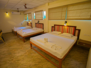 Casuarina bay