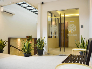 Treehouse Suites  - Boutique Serviced Apartment