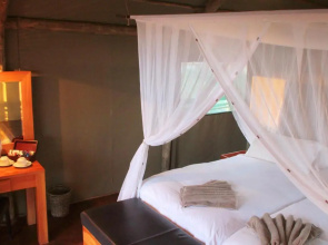 Intu Africa-Camelthorn Kalahari Lodge