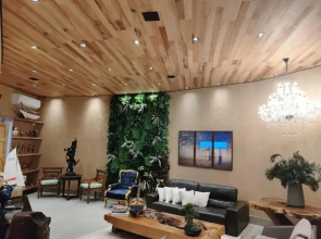Hotel veneza