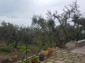 Casa Vacanze Macchia Verde