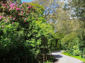 Bodior Garden Cottage
