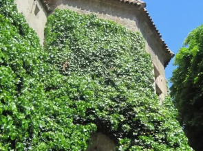 Majestic Apartment in Meran