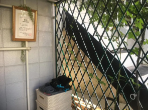Hostel Nedoko