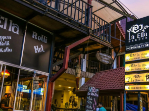 Oak Ray La Ella Breeze