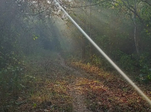 Arippa Eco Tourism-Stay Inside Forest