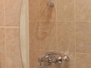 Проворный Верблюд