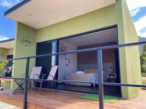 Palta 60 Valle de Guadalupe