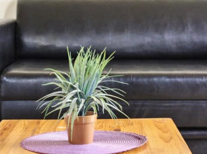 Dizengoff Beach Apartments