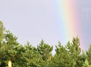 Creative Guest House Plunksna