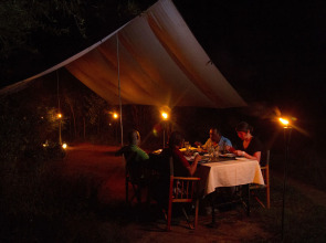 Big Game - Wilpattu by Eco Team