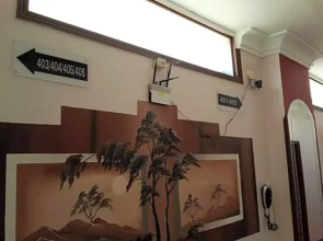 Dream Hotel