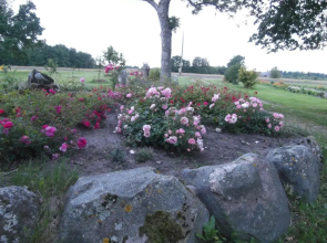 Brīvdienu māja Ievkalni