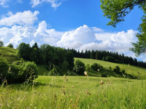 Biobetrieb Lippenhof