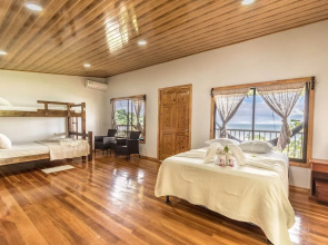 Cotingas Ocean View