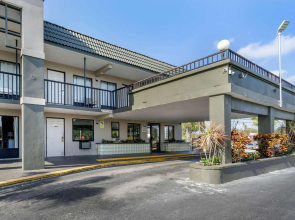Rodeway Inn Clearwater - Dunedin