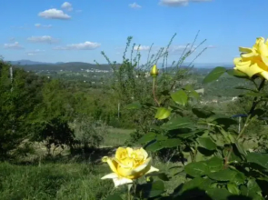 Bed and Breakfast di Montenero