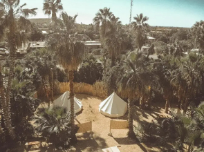 Cien Palmas Tent 2