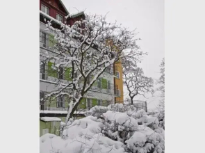 Ośrodek Leśne Wzgórze