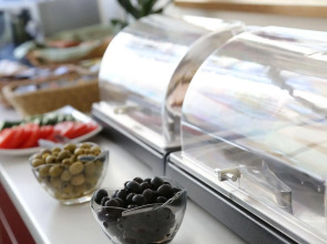 Pension Alpha Frankfurt City