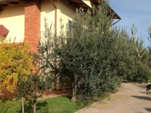 Al Querceto