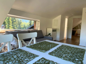 Apartment Židana marela - Attic with a View