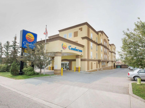 Comfort Inn & Suites University