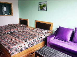 Green Apple Holiday Hotel