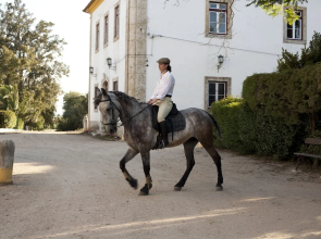 Quinta dos Álamos