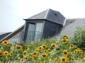 Cockle Kitty Cottage