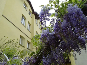 Hotel Margerita