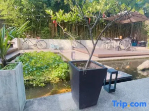 Wuzhen Huayu Jinzhu Courtyard Hotel (Xizha South Gate Scenic Area Branch)