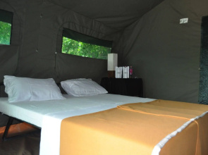 Explorer by Eco Team - Wasgamuwa National Park