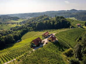 Weingut Gästehaus Otmar Birnstingl