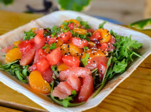 Siesta Key Beach Resort and Suites