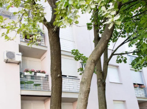 Apartman Ante